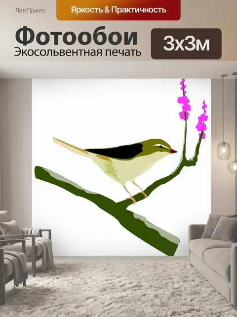 Фотообои (тропических) птицы