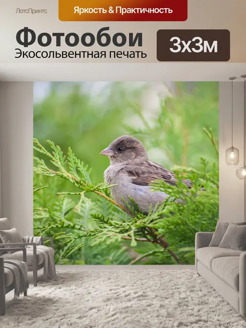 Фотообои Воробей