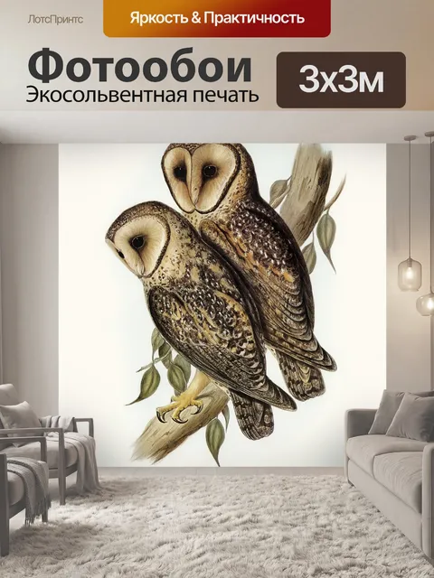 Фотообои Сова старинный плакат старый
