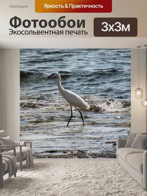 Фотообои Цапля