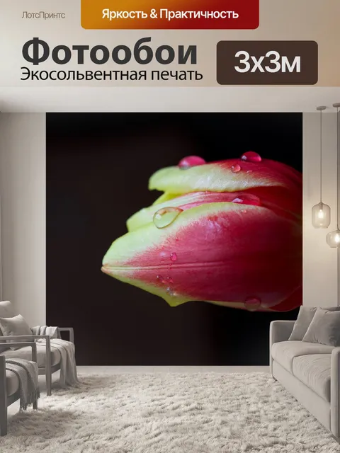 Фотообои Цветок