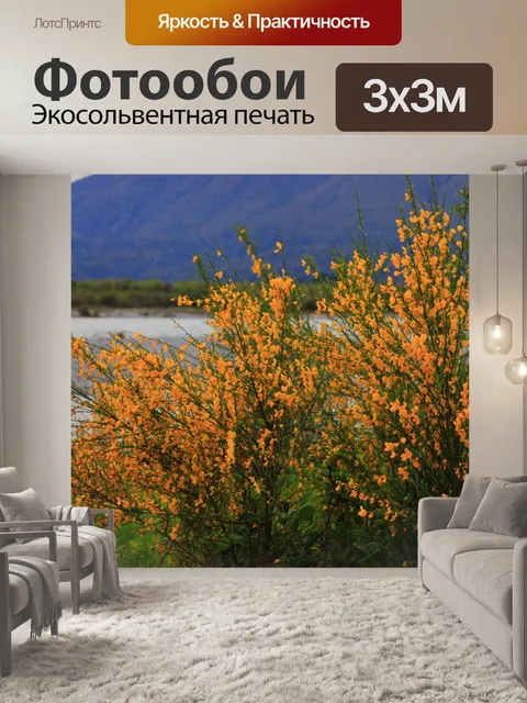 Фотообои Цветы