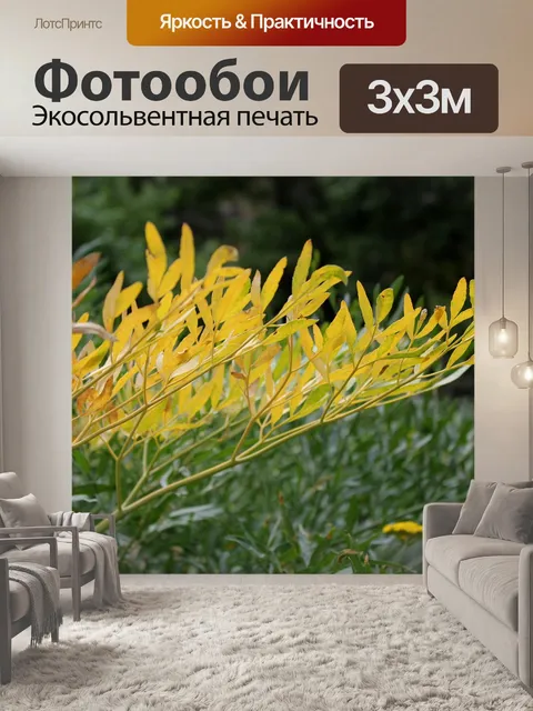 Фотообои Растение