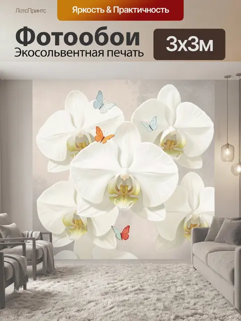 Фотообои Белые орхидеи и бабочки