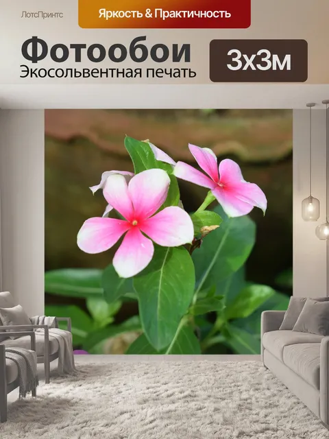 Фотообои Цветок