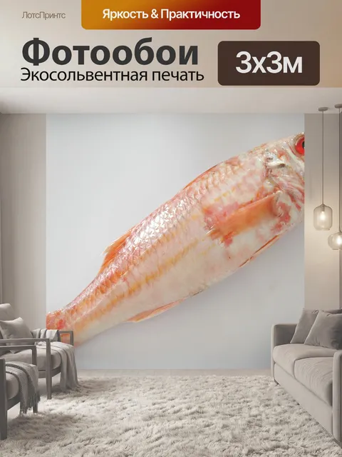 Фотообои Рыба