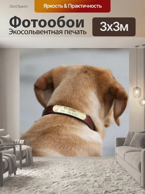 Фотообои Кожа собаки