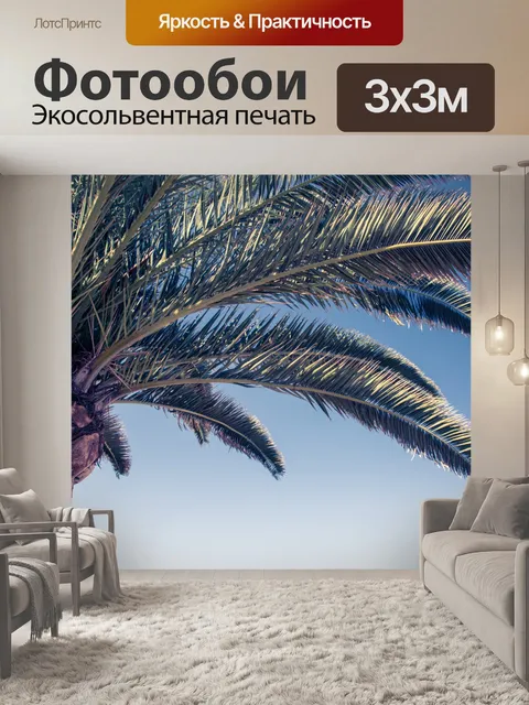 Фотообои Пальма и небо
