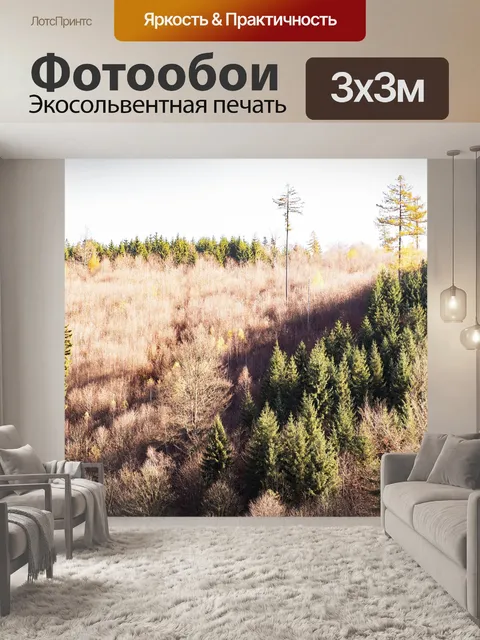 Фотообои Лес
