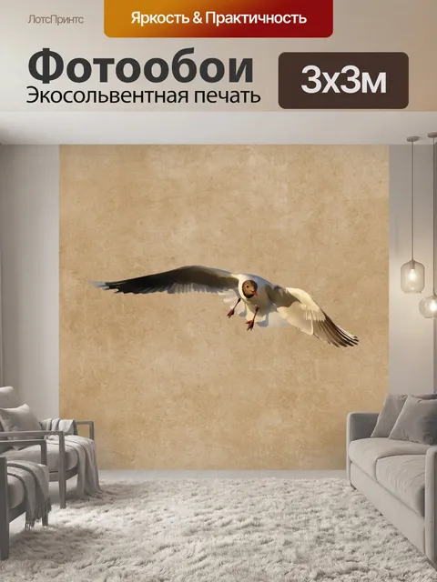 Фотообои Птица