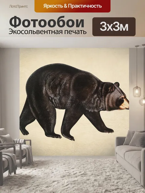 Фотообои Винтажное искусство медведя