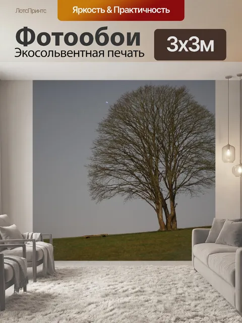 Фотообои Дерево