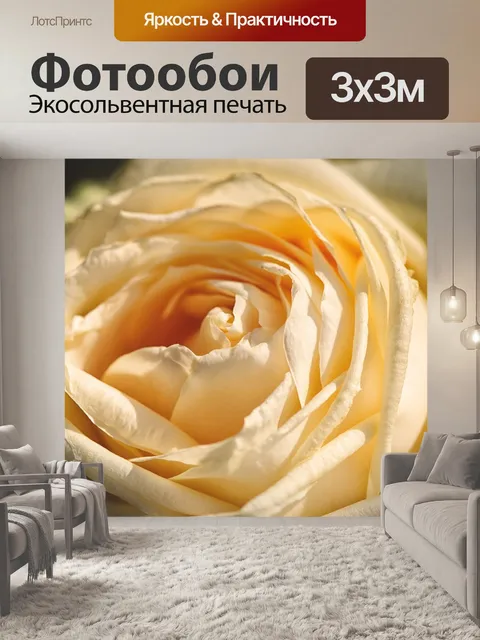 Фотообои Роза