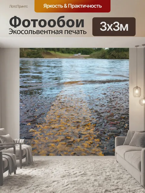 Фотообои Дорога