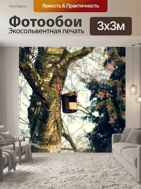 Фотообои Кормушка для птиц