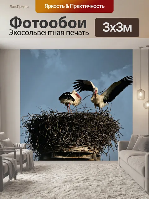 Фотообои Аист