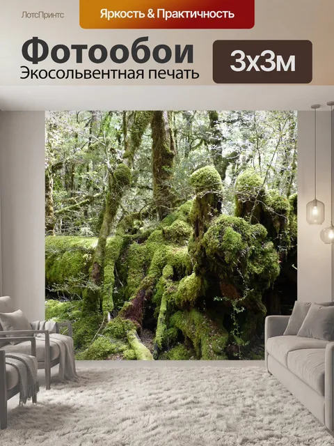 Фотообои Тропический лес