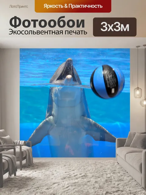 Фотообои Дельфин Игра