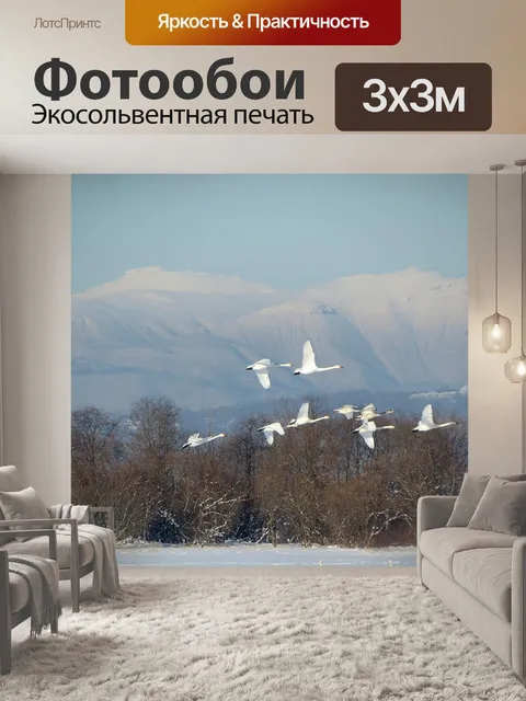 Фотообои Дикие лебеди