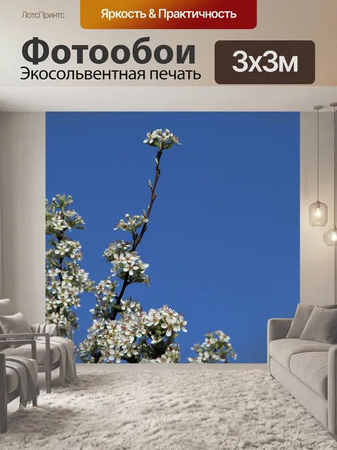 Фотообои Дерево
