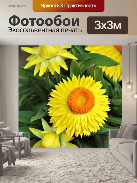 Фотообои Желтый соломенный цветок и почки