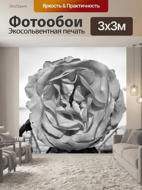 Фотообои Цветок