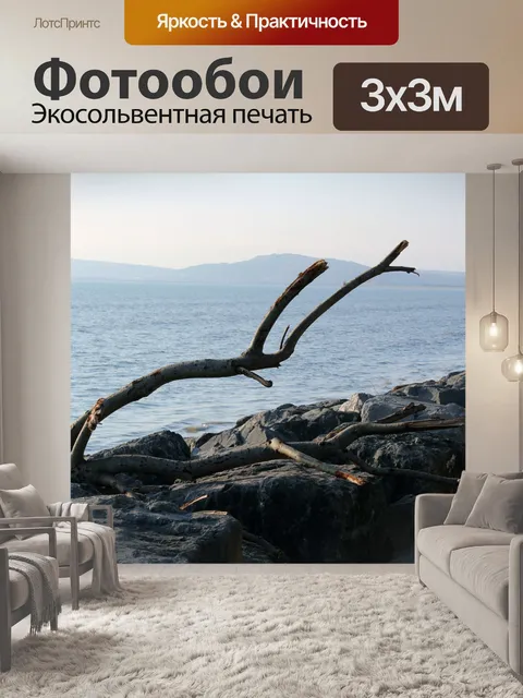 Фотообои Aberavon коряги