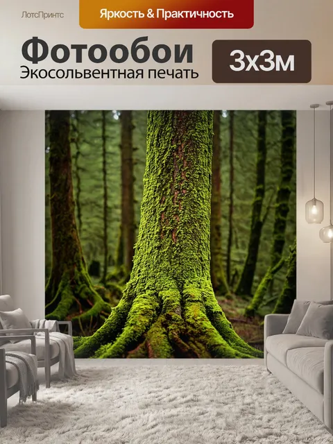 Фотообои лес с древними деревьями, покрытыми мхом и лишайником