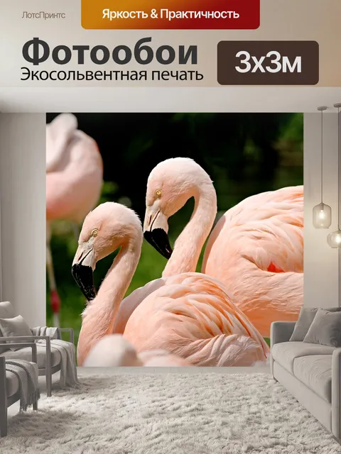 Фотообои Фламинго
