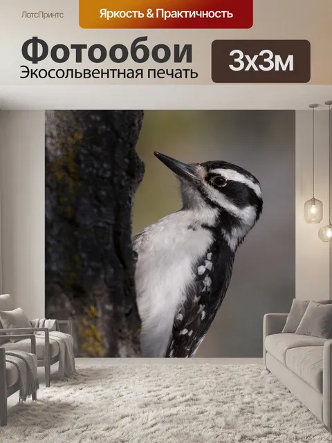 Фотообои Дикий
