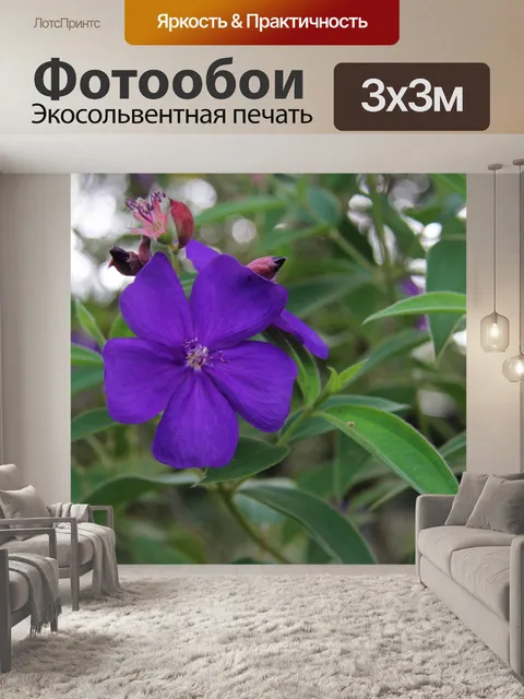 Фотообои Довольно фиолетовый цветок