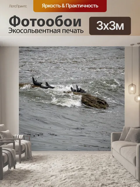 Фотообои тюлени в море
