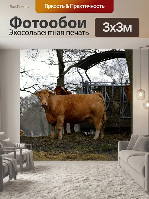 Фотообои Лес