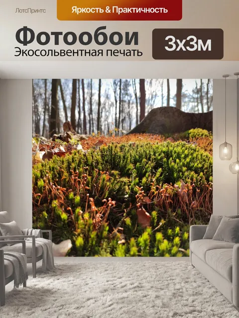 Фотообои Лес