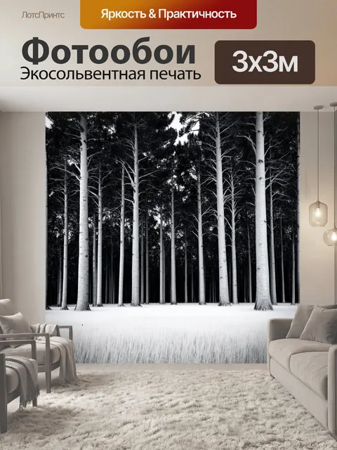 Фотообои стильный черно-белый пейзаж с высокими деревьями, выполненный в технике минимализма для создания чистоты формы