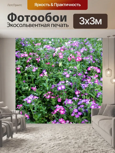 Фотообои Цветник на горе Дои Интанон