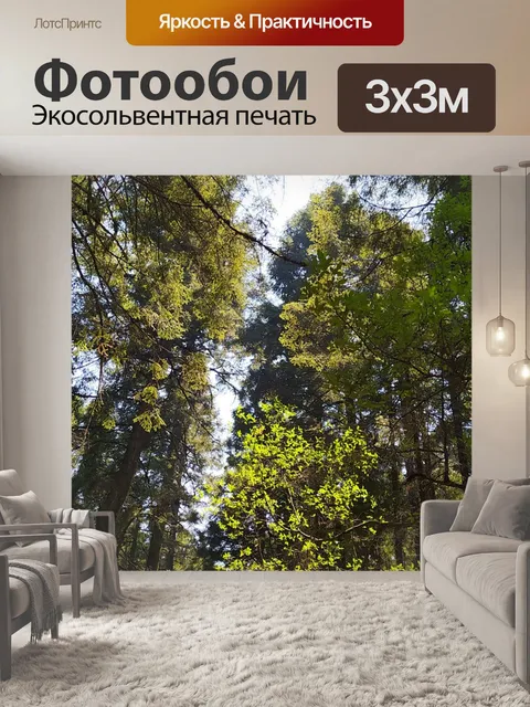 Фотообои Деревья