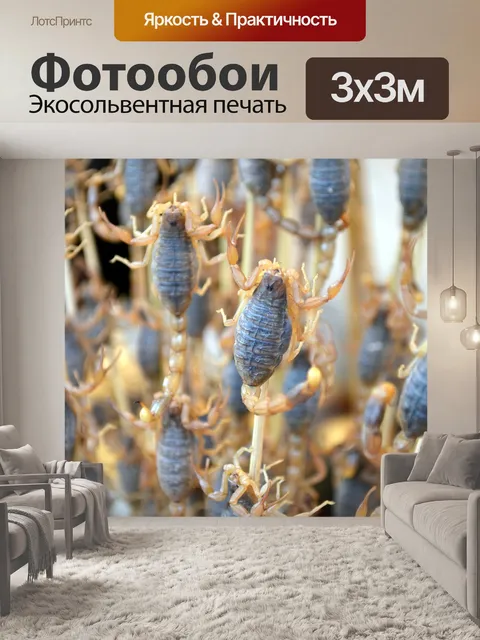 Фотообои Еда