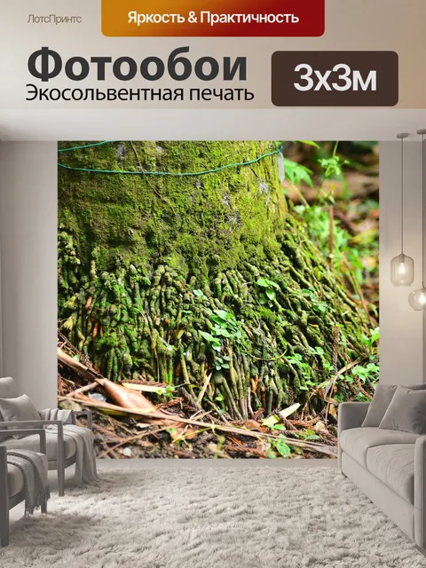 Фотообои Дерево