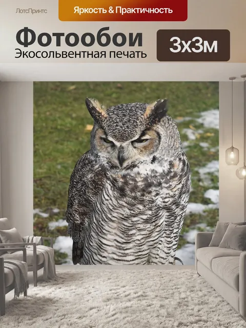 Фотообои Птица