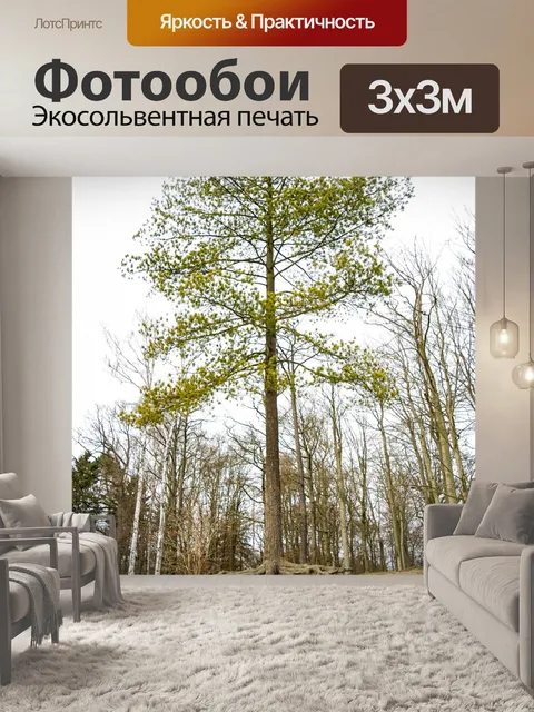 Фотообои Дерево