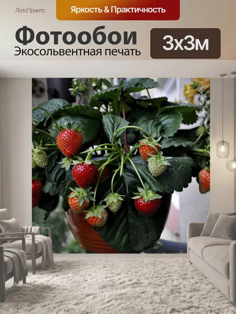 Фотообои Фрукты