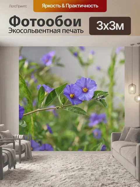 Фотообои Цветы
