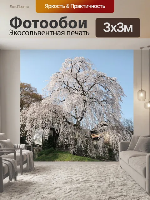 Фотообои Вуд
