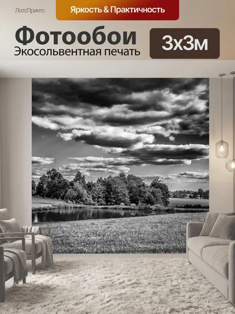 Фотообои Монохромный