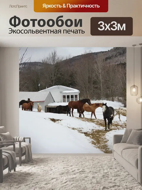 Фотообои Лошади