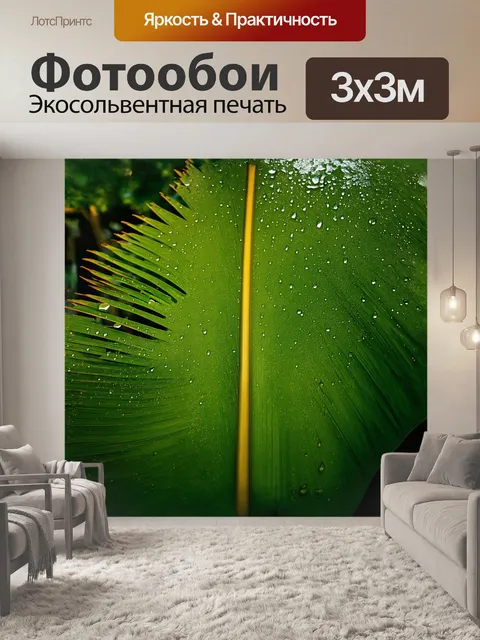 Фотообои лист пальмы, покрытый капельками росы, сияет на утреннем солнце, становясь ярким акцентом композиции