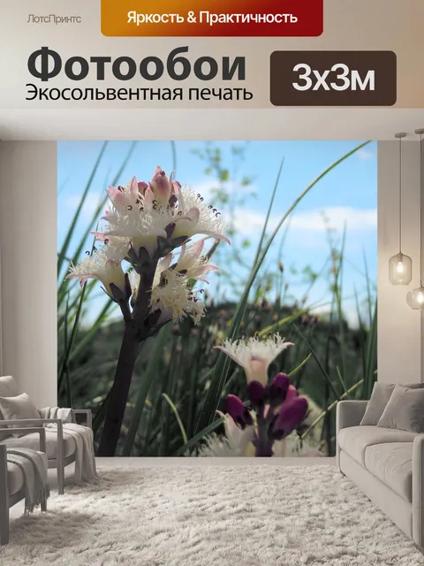 Фотообои Лихорадка клевер