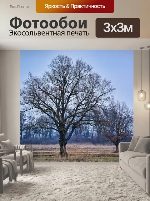 Фотообои Деревья