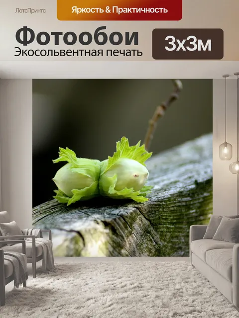 Фотообои Лесной орех